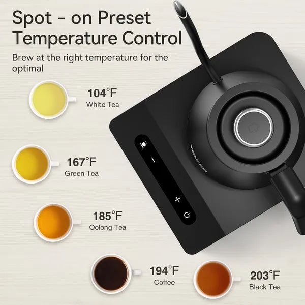 Electric Gooseneck Kettle with Temperature Control
